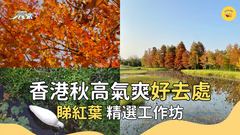 秋高氣爽好去處 睇紅葉 精選工作坊｜香港好去處 #超想去玩