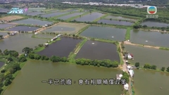 新田科技城一半土地將作創科用途 最快2026年有首批「熟地」供應