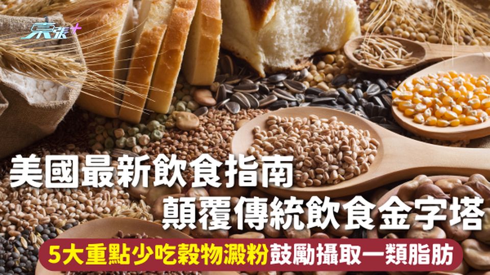 食物營養金字塔 | 美國最新飲食指南 顛覆傳統飲食金字塔 5大重點少吃穀物澱粉鼓勵攝取一類脂肪