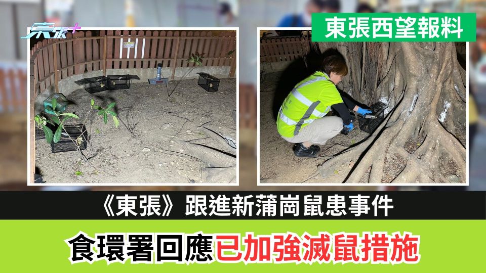 東張西望報料｜《東張》跟進新蒲崗鼠患事件　食環署回應已加強滅鼠措施