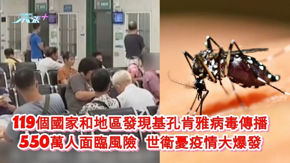 119個國家和地區發現基孔肯雅病毒傳播 世衛：550萬人面臨風險 