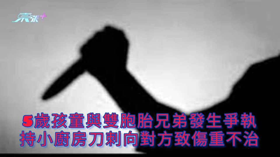 5歲孩童與雙胞胎兄弟發生爭執 持小廚房刀刺向對方致傷重不治