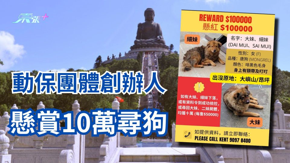 虐待動物｜寶蓮寺兩狗被膠袋笠頭棄後山 生死未卜 「毛守救援」創辦人懸賞$10萬尋狗