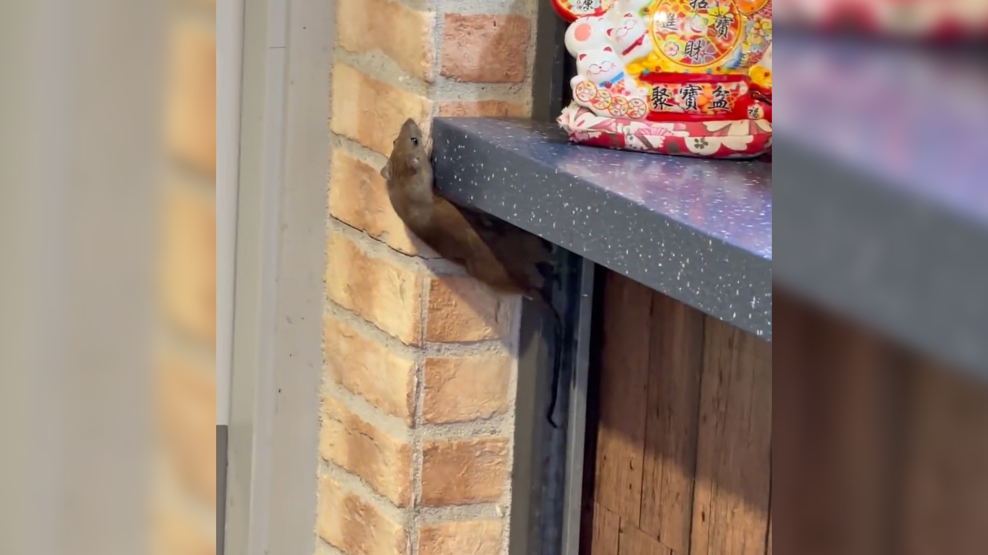 觀眾M小姐向《東張+》提供。