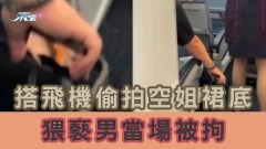 有片｜搭飛機偷拍空姐裙底  猥褻男當場被拘