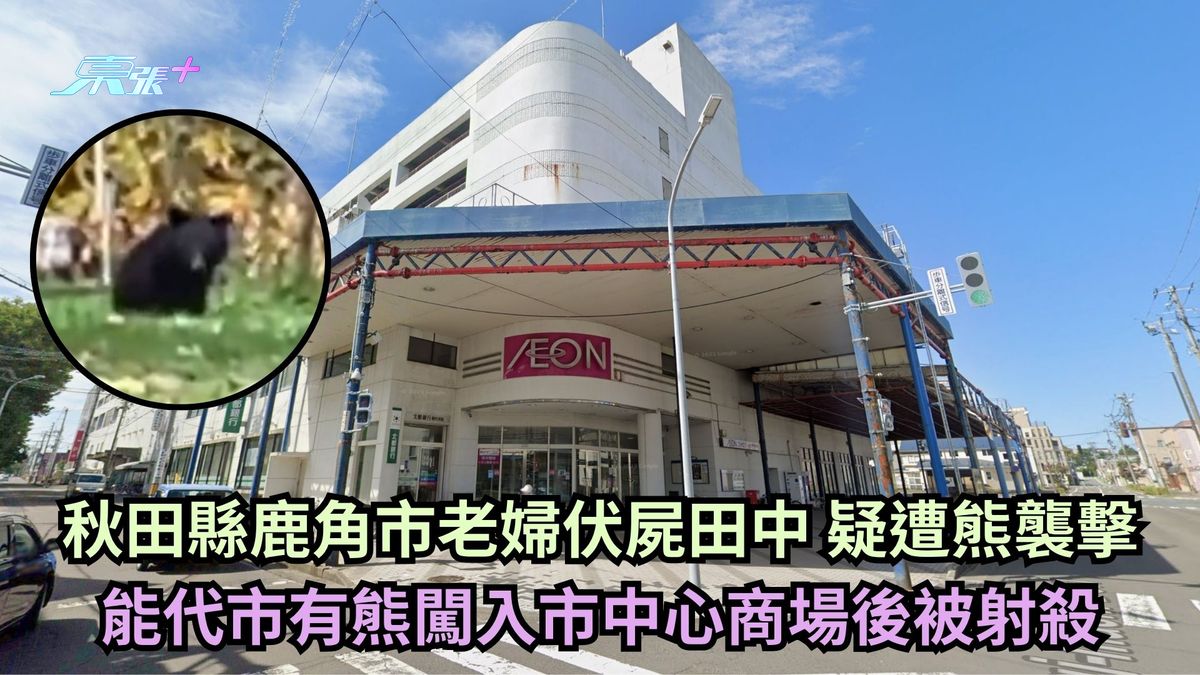 秋田縣鹿角市老婦伏屍田中 疑遭熊襲擊 能代市有熊闖入市中心商場後被射殺