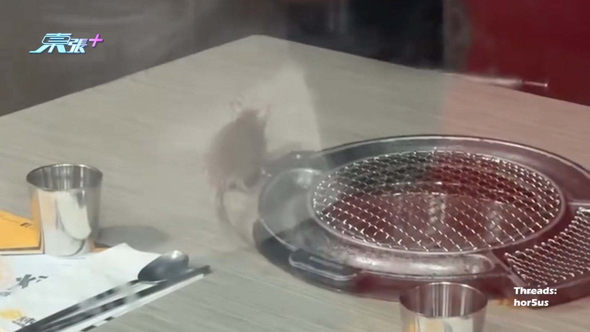 荃新天地韓燒餐廳老鼠出沒走上桌　爬來爬去勁恐怖嚇到片主爆曬粗