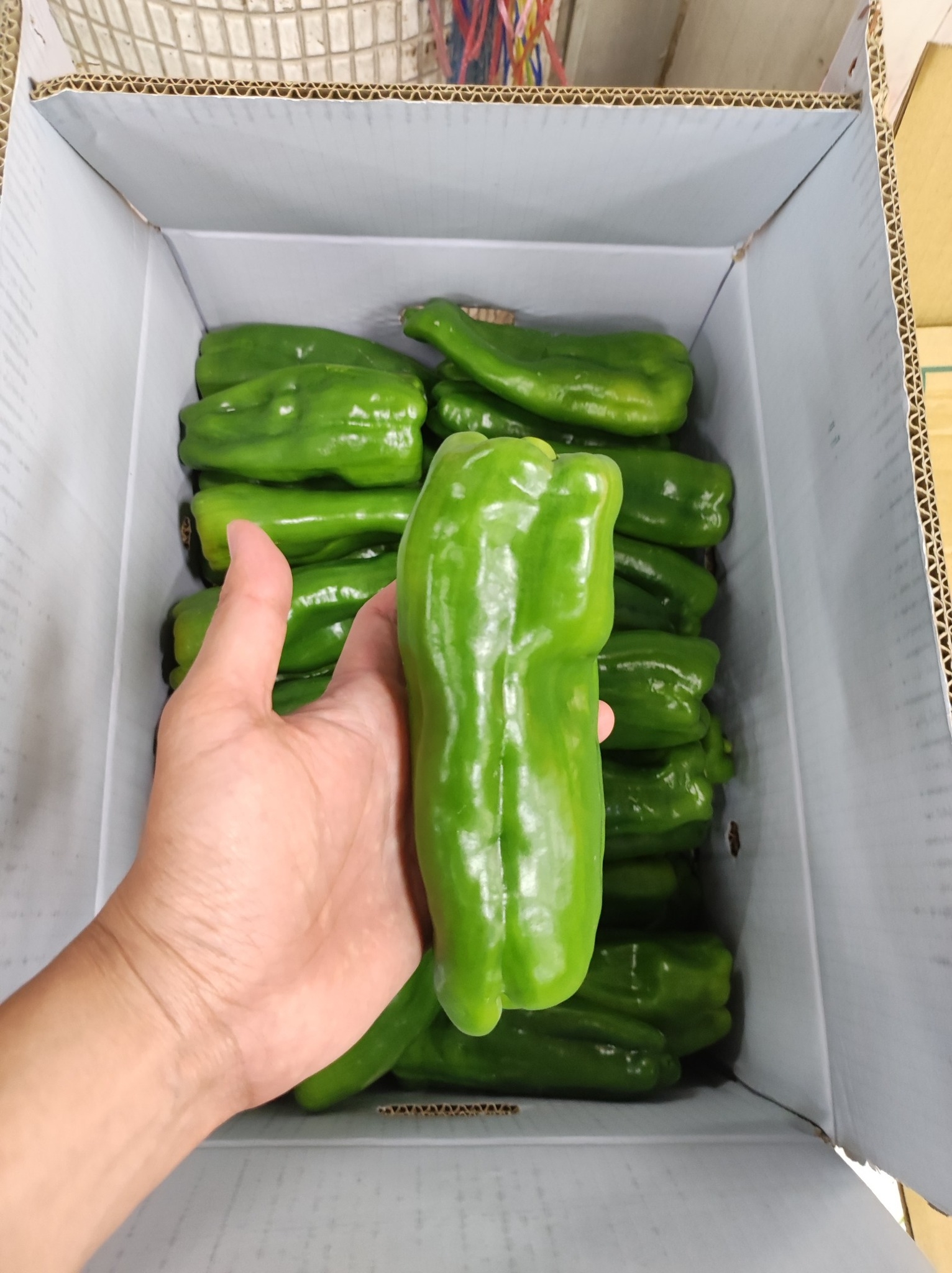 No photo description available.