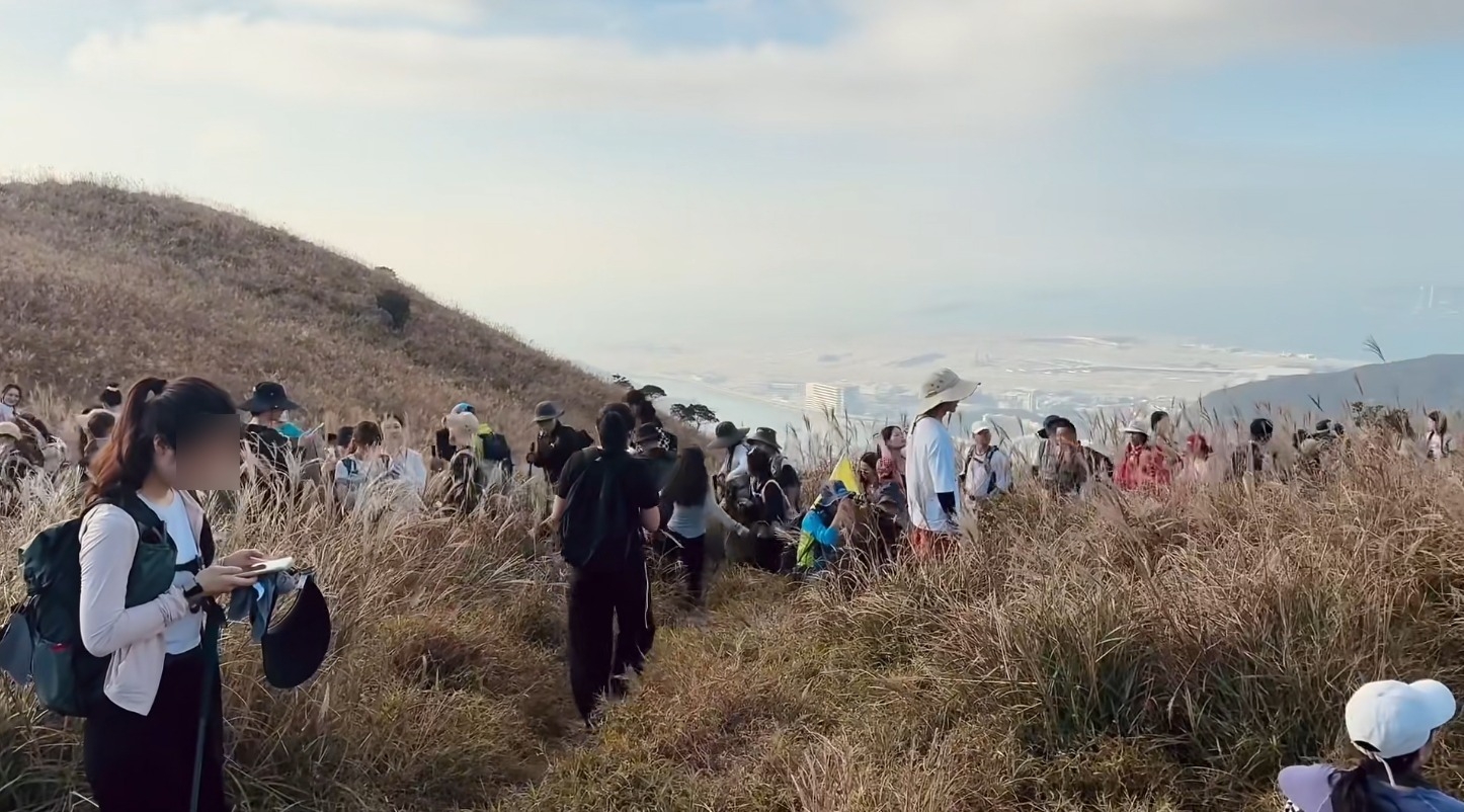 網民：草都踩到無了　有人建議收門票