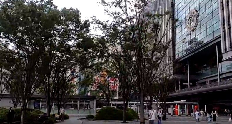 日本遇近25年「最強流感」
