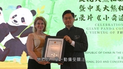 中國大使館夥史密森學會合辦「大熊貓之夜」 慶大熊貓到美50周年