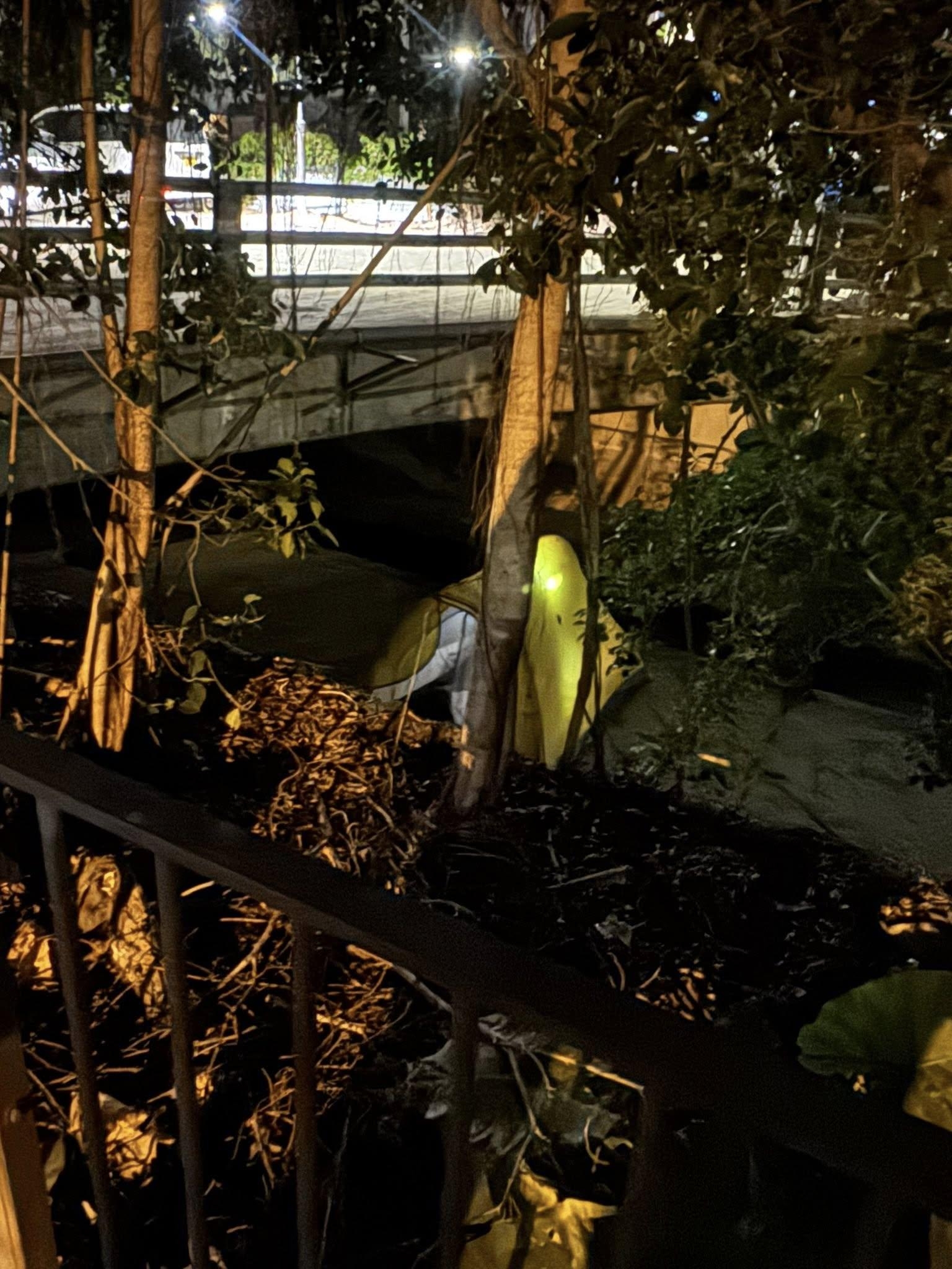 內地男女挑戰衛奕信徑體力透支明渠邊紮營驚動村民報警　警方到場勸喻：隨時有洪水風險！