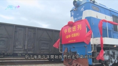 福建泉州東火車站將停運 貨運「老臣子」見證當地貨物走向世界