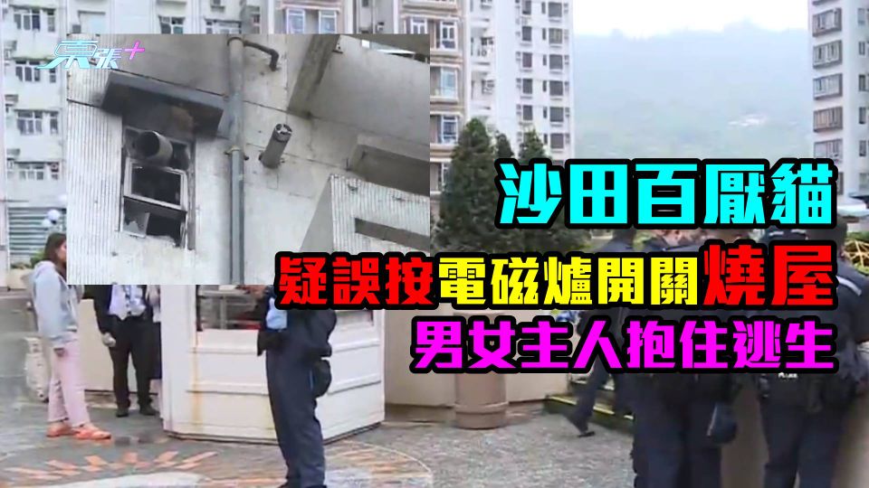 沙田百厭貓疑誤按電磁爐開關燒屋　男女主人抱住逃生