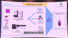 理大與中大合作研發新藥 有效改善與肥胖相關代謝疾病