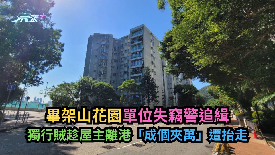 畢架山花園單位失竊警追緝　獨行賊趁屋主離港「成個夾萬」遭抬走