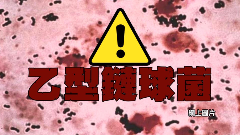 乙型鏈球菌個案有上升趨勢 罪魁禍首可能係淡水魚!? - 東張+