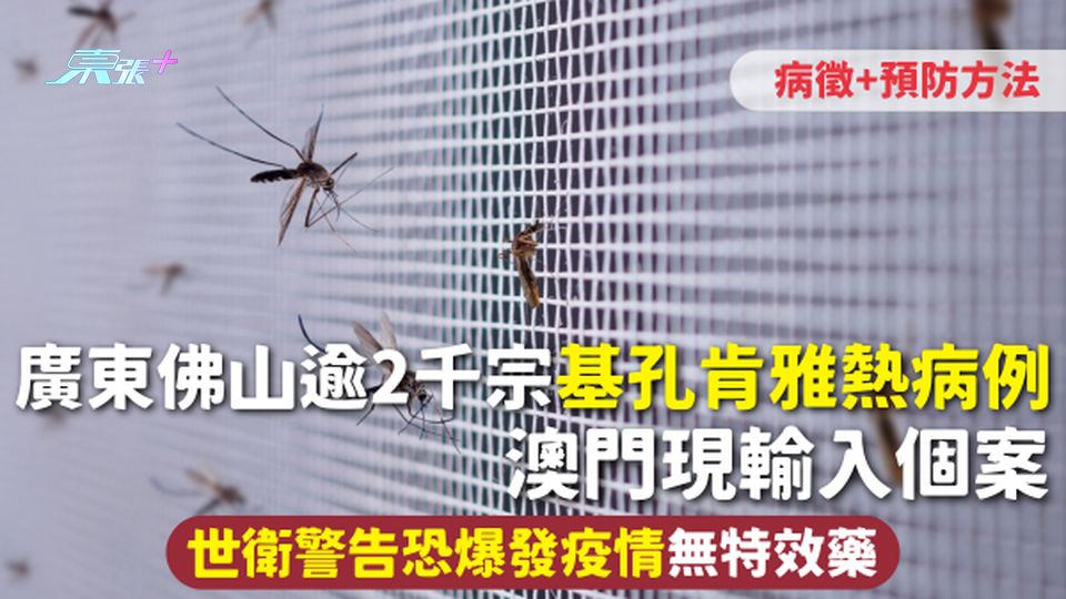 基孔肯雅熱 | 廣東佛山逾2千宗確診 澳門現輸入個案 世衛警告恐爆發疫情 無特效藥 附病徵+預防方法