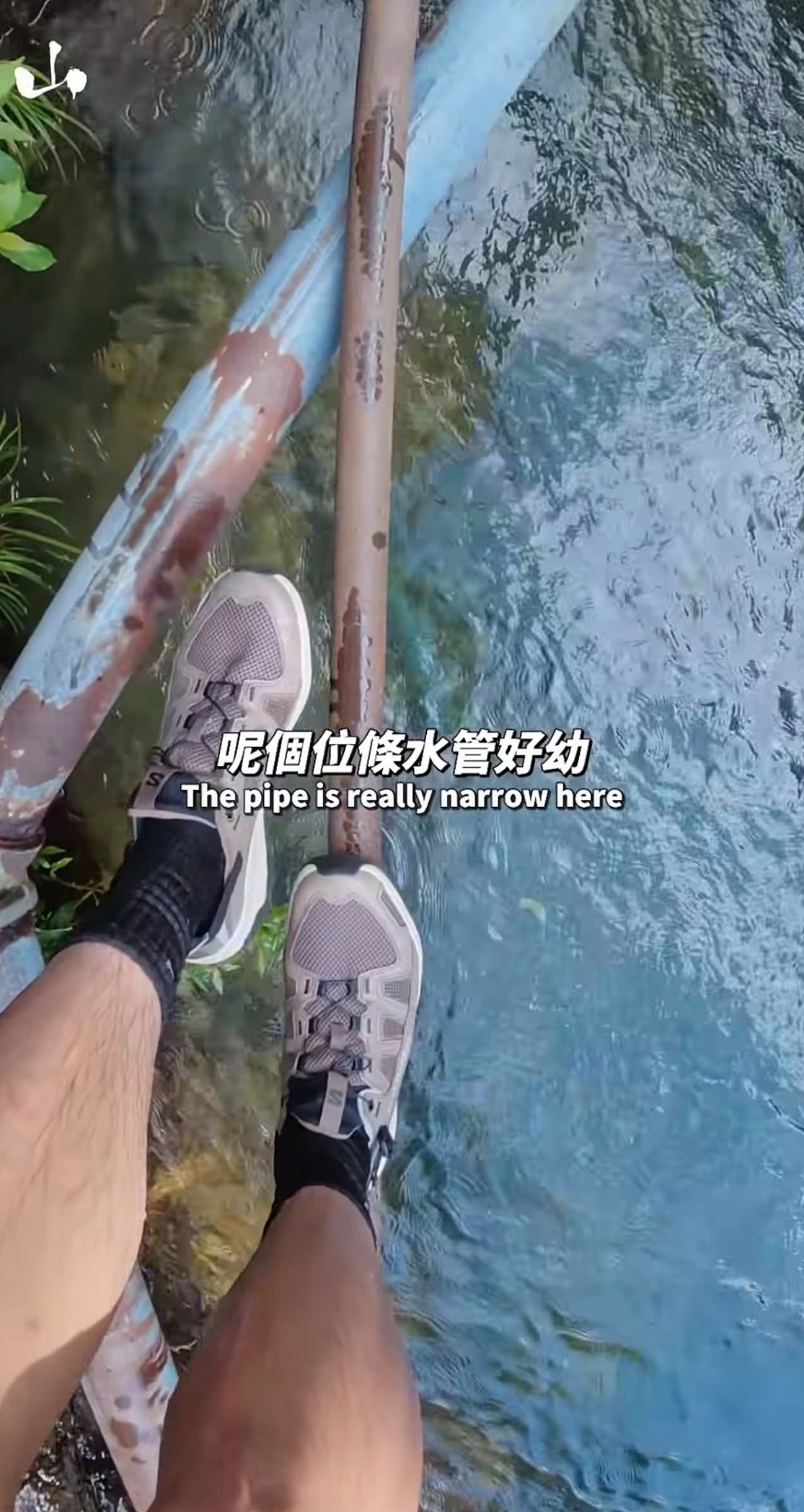 東張西望報料｜KOL拍片教踩水管遊地塘仔石澗