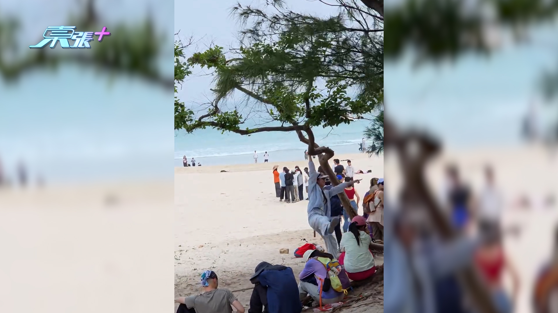 西貢浪茄灣內地客爬樹「抱樹打卡」　樹枝折斷市民勸阻無人理：扮聽唔到 （threads@mj.food.daily/）