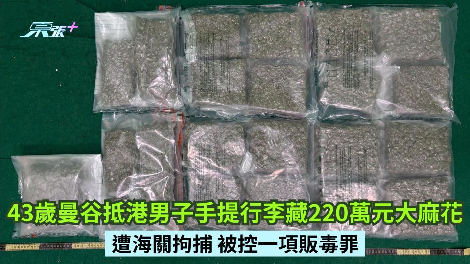 43歲曼谷抵港男子手提行李藏220萬元大麻花 遭海關拘捕 被控一項販毒罪