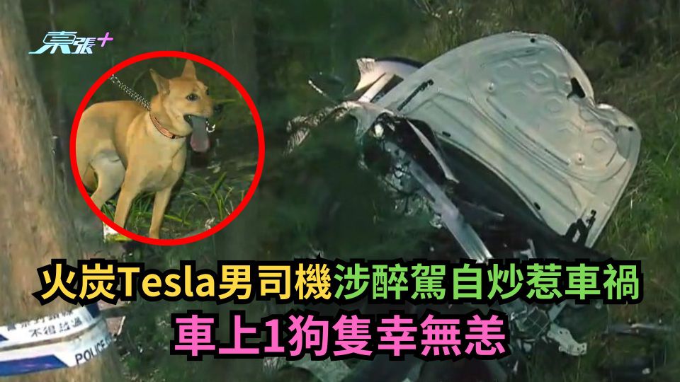 火炭Tesla男司機涉醉駕自炒惹車禍　車上1狗隻幸無恙