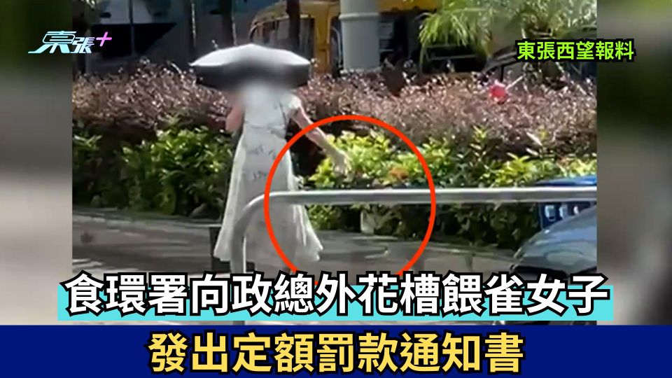 東張西望報料 | 食環署向政總外花槽餵雀女子  發出定額罰款通知書