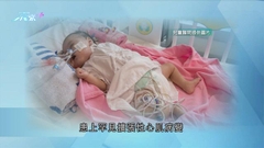 4個月大女嬰成功換心為首宗來自內地器官移植 父母感謝捐贈者家屬大愛
