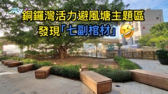 銅鑼灣活力避風塘主題區 發現「七副棺材」