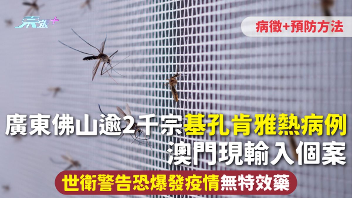 基孔肯雅热 | 广东佛山逾2千宗确诊 澳门现输入个案 世卫警告恐爆发疫情 无特效药 附病征+预防方法