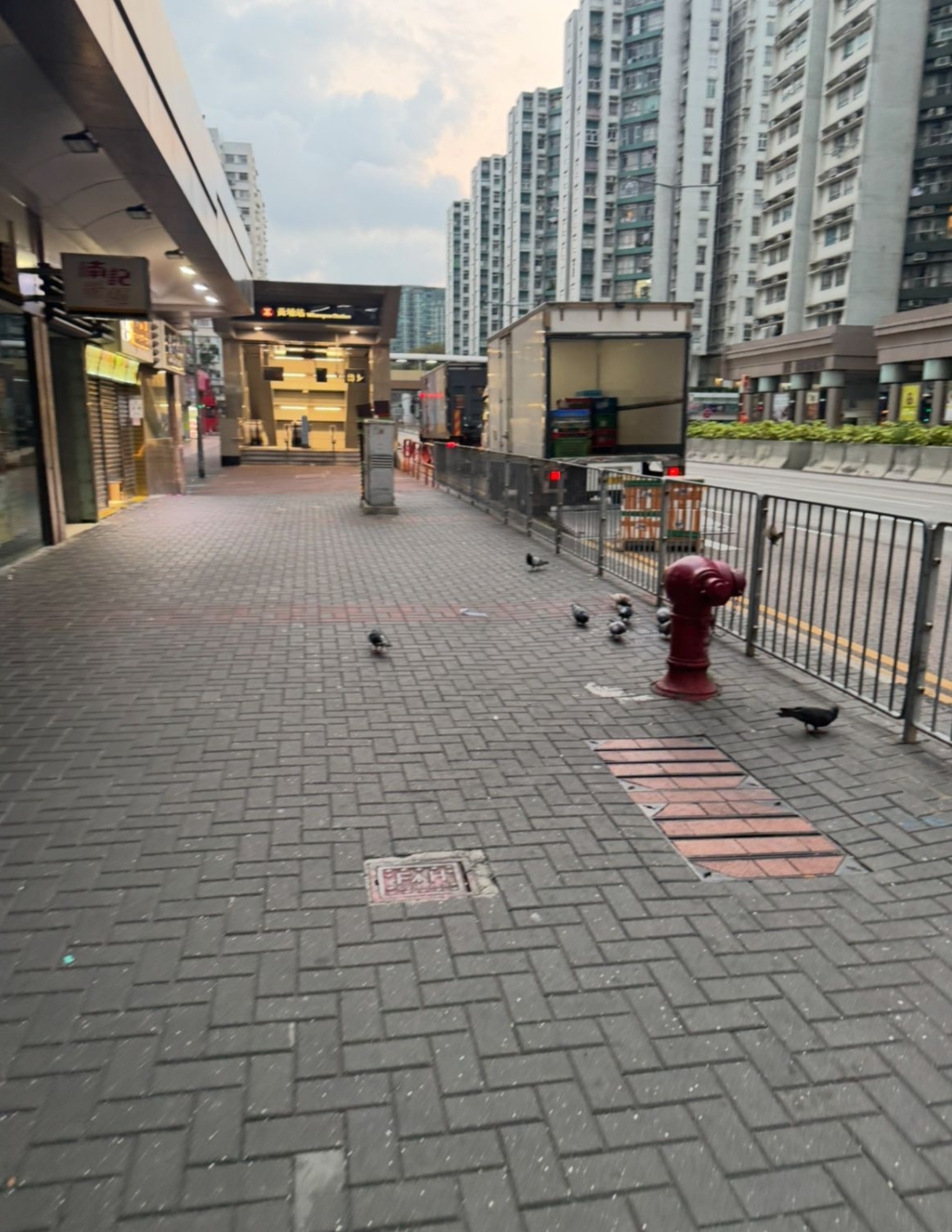 東張西望報料｜黃埔女子長期餵鴿釀衛生黑點　街坊連番投訴無果：已多次報食環 （觀眾夏先生提供東張+）