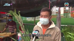 維園花市有攤檔入夜前減價促銷 花墟逼滿人買花過年