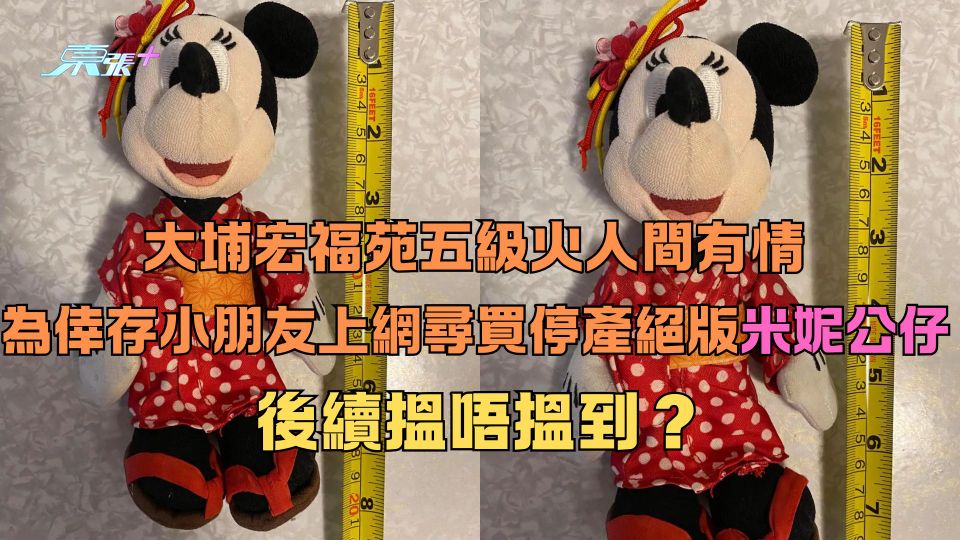 大埔宏福苑五級火｜人間有情 為倖存小朋友上網尋買停產絕版米妮公仔 後續搵唔搵到？