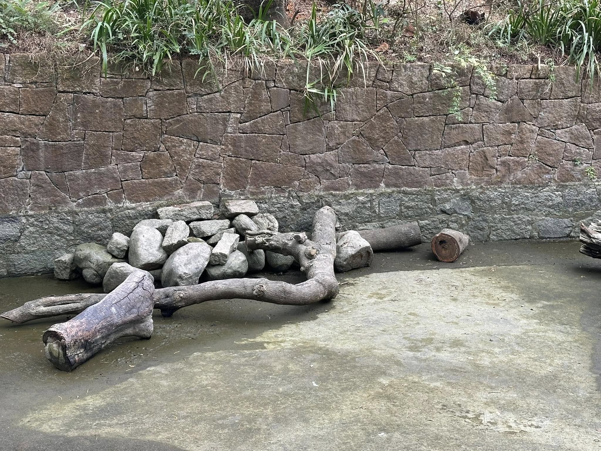 九龍公園水池大清洗「疑抽乾水」，康文署證3條魚缺水慘死。（龜途Facebook）