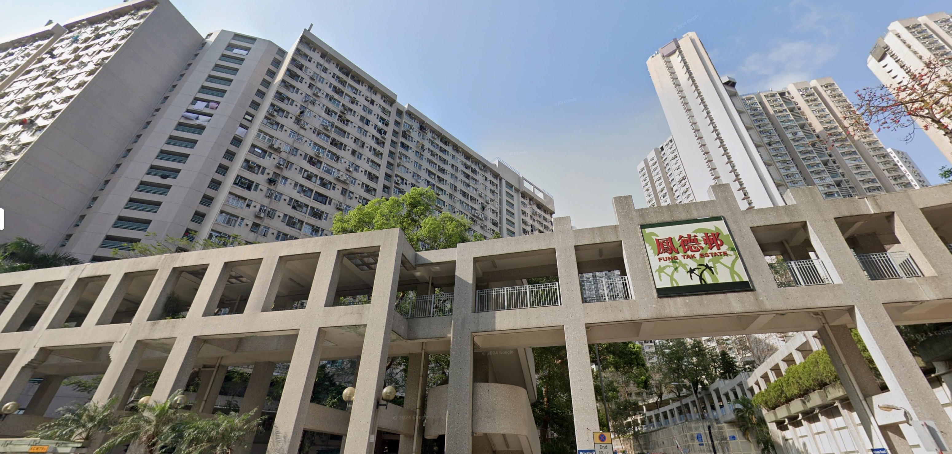 白紋伊蚊為主要傳播媒介　200米範圍內8000戶受潛在威脅