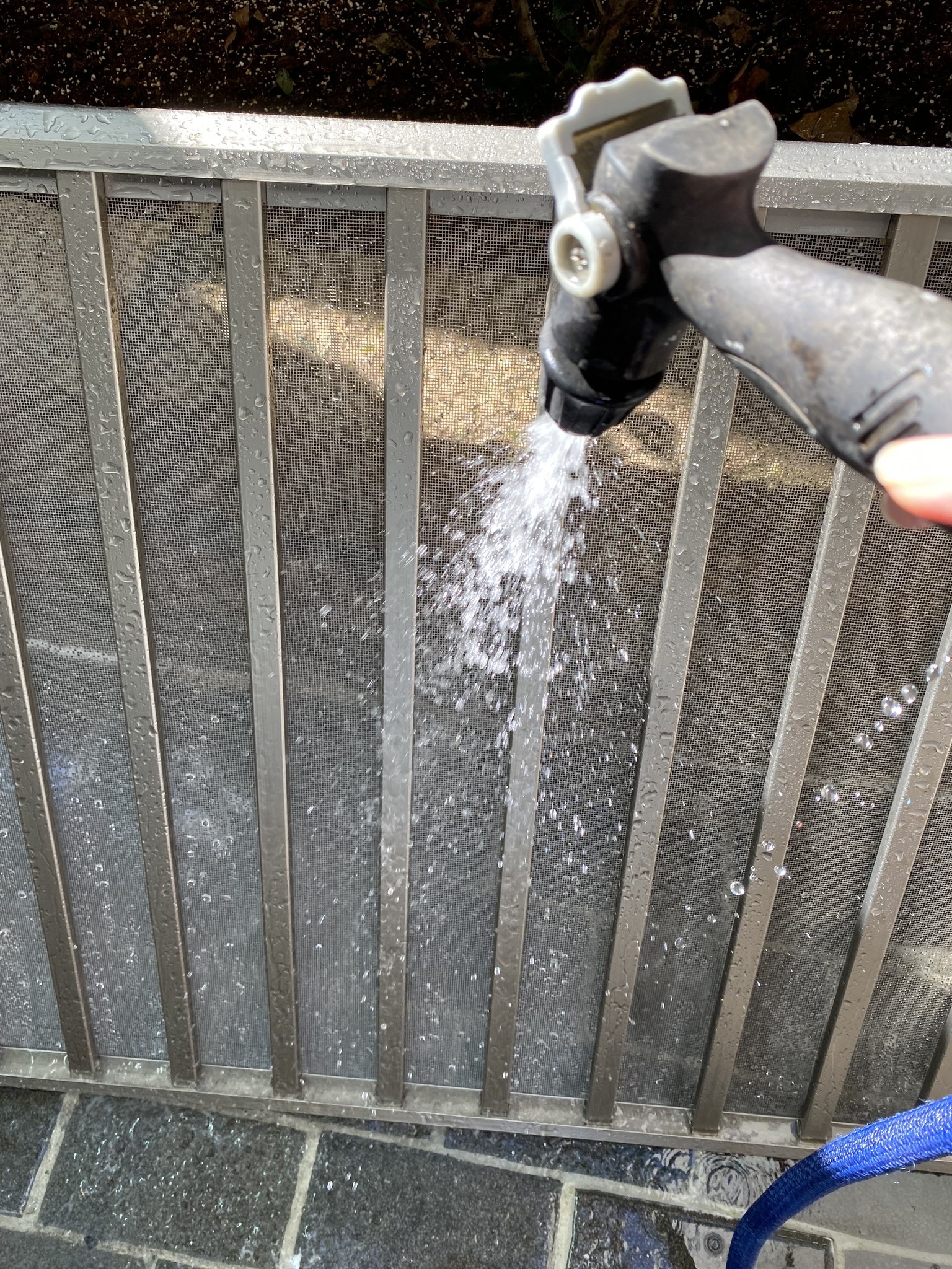 可能是水體的圖像