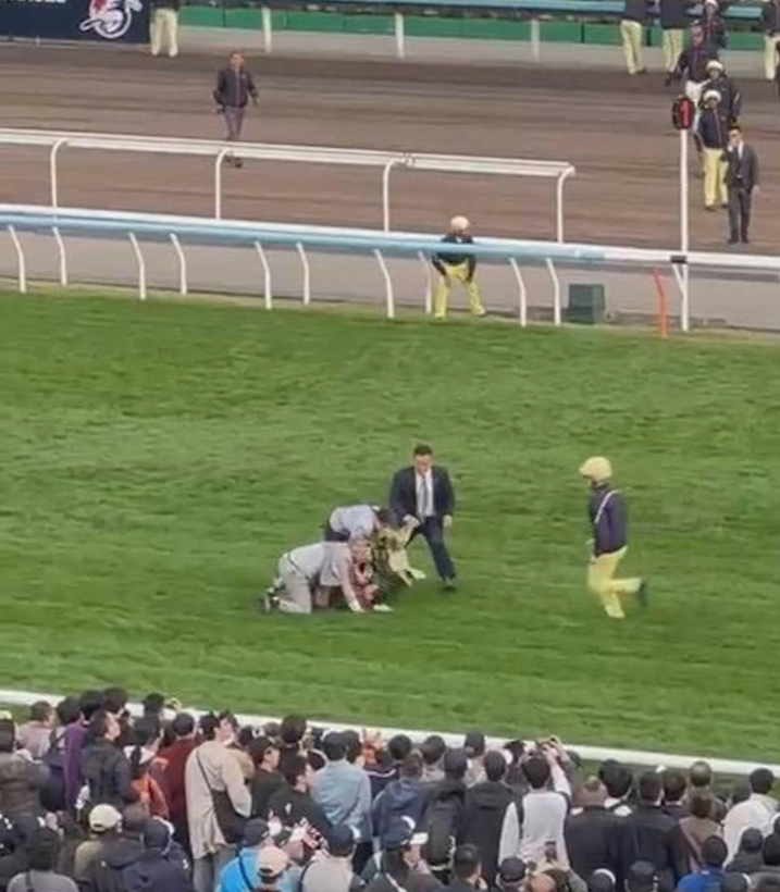 沙田馬場賽馬期間拉橫額衝賽道59歲男被捕　涉事橫額疑寫有大埔宏福苑字眼