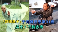 「螳螂拳王」于海離世享年81歲 吳京：不勝悲痛