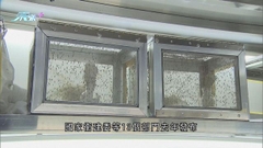 時事通識：中國的瘧疾防控