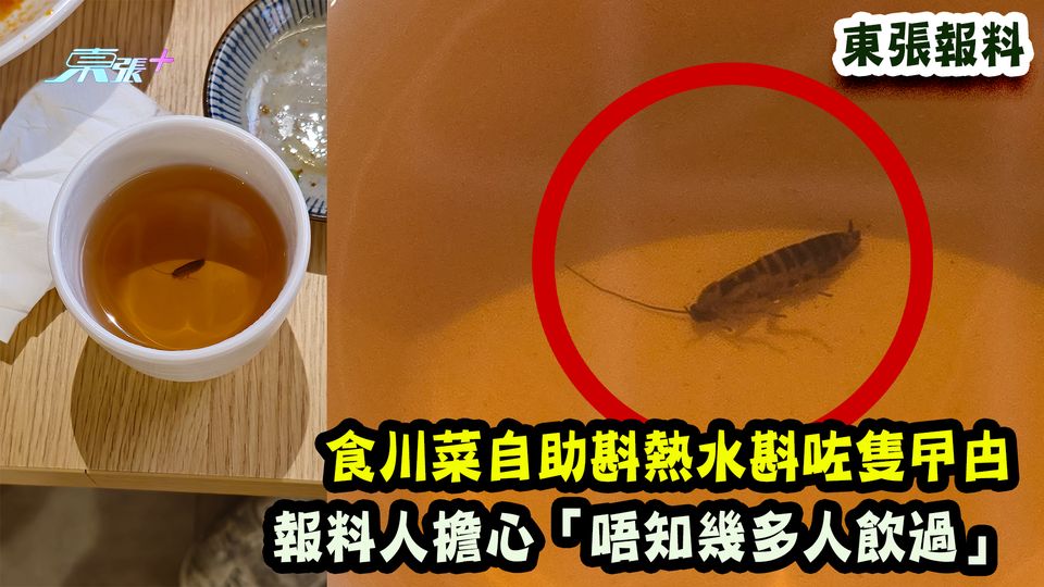 東張報料｜食川菜自助斟熱水斟咗隻曱甴 報料人擔心「唔知幾多人飲過」