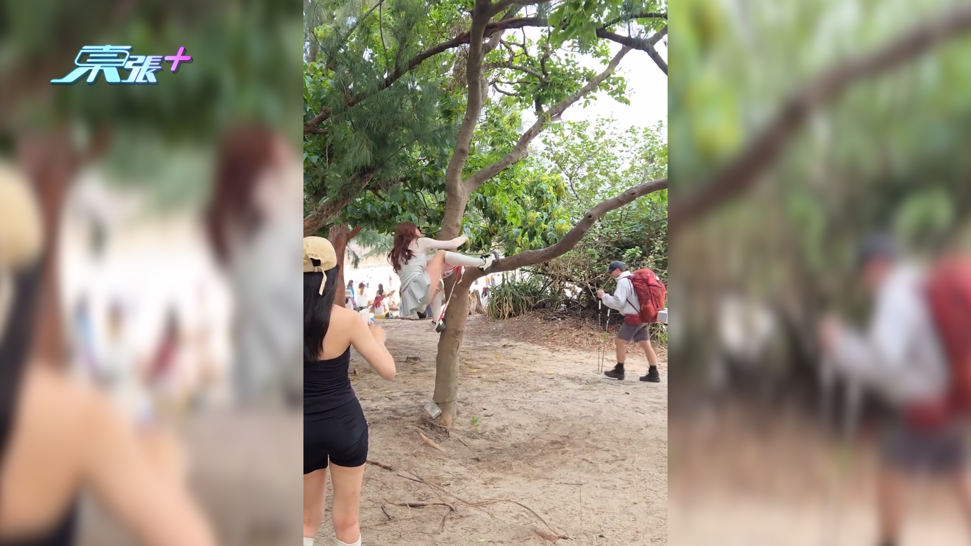 西貢浪茄灣內地客爬樹「抱樹打卡」　樹枝折斷市民勸阻無人理：扮聽唔到 （threads@mj.food.daily/）