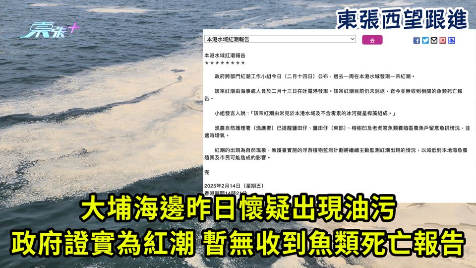 東張西望跟進｜大埔海邊昨日懷疑出現油污 政府證實為紅潮 暫無收到魚類死亡報告