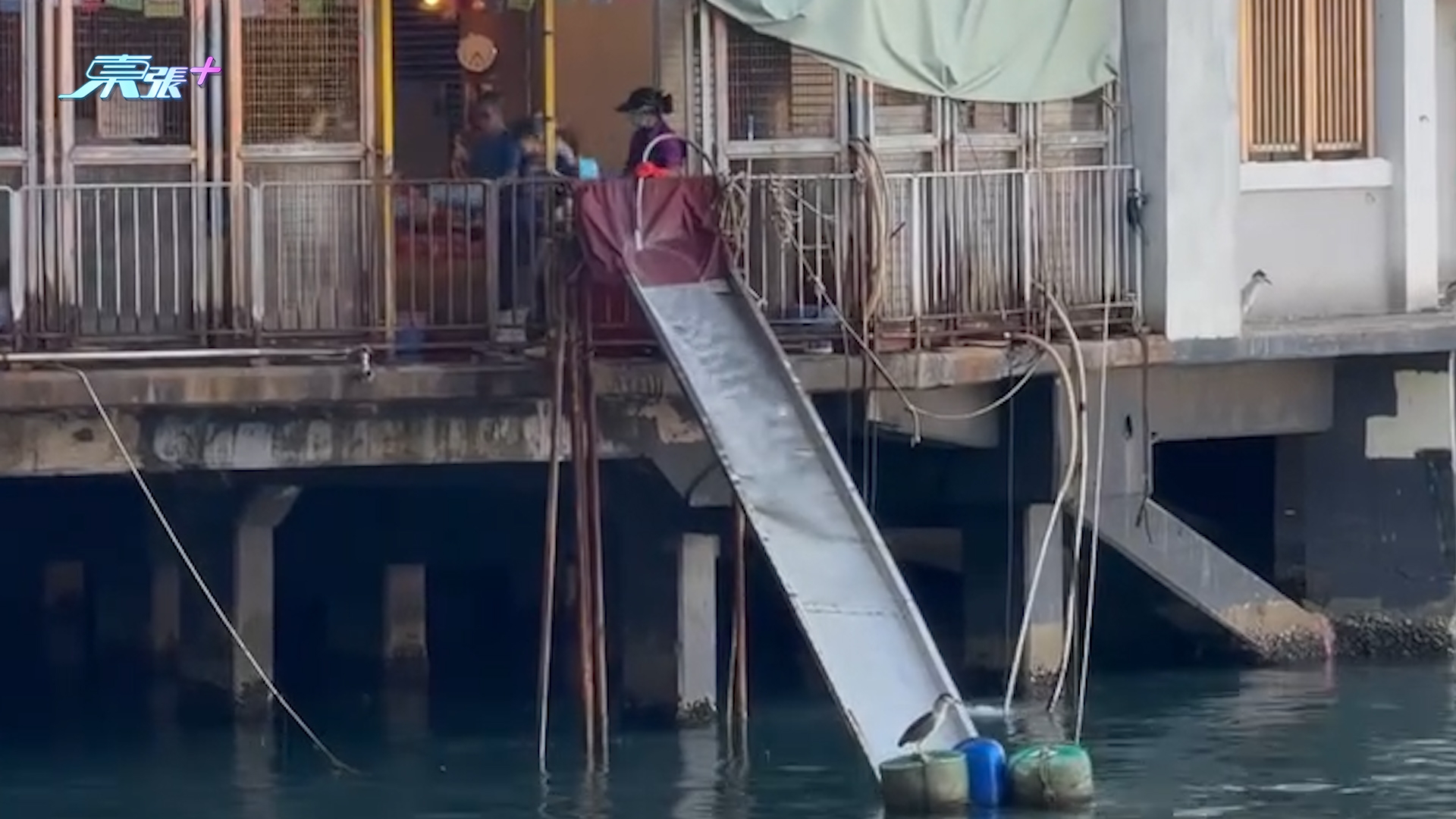 北角碼頭大人細路公然放生，仲開「瀡滑梯」及大水喉伺候。 (Threads@tumtumtummy_tommy)