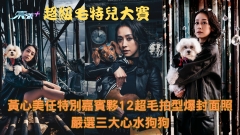 超級毛特兒大賽｜黃心美任特別嘉賓夥12超毛拍型爆封面照 嚴選三大心水狗狗