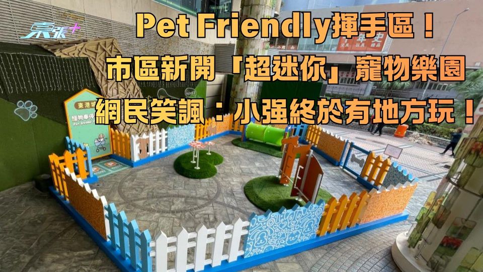 Pet Friendly揮手區！市區新開「超迷你」寵物樂園 網民笑諷：小强終於有地方玩！