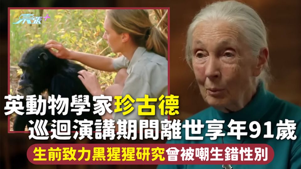 黑猩猩之母 | 英動物學家珍古德 巡迴演講期間離世享年91歲 生前致力黑猩猩研究曾被嘲生錯性別