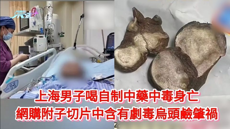 上海男子喝自制中藥中毒身亡 網購附子切片中含有劇毒烏頭鹼肇禍