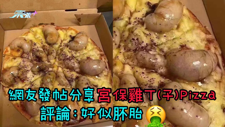 網友發帖分享宮保雞丁(子) Pizza 評論：好似肧胎