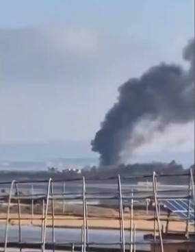 濟州航空空難｜本港專家：機師可手動控制起落架　直言事故不尋常