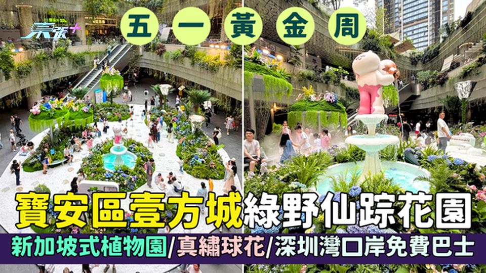 寶安區壹方城綠野仙踪花園🌿 坡式植物園🌱真繡球花🌸夢幻泡泡時段🫧深圳灣口岸設免費巴士🚌